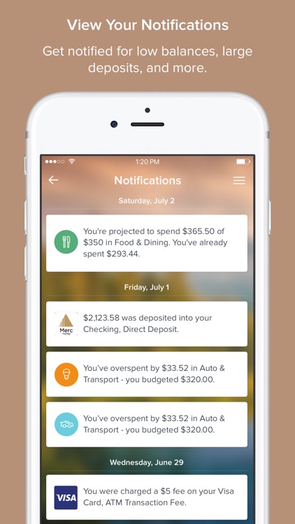 MercMoney screenshot-4