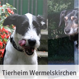 Tierheim Wermelskirchen