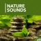 Nature Sounds Meditation Timer & Noise Machine