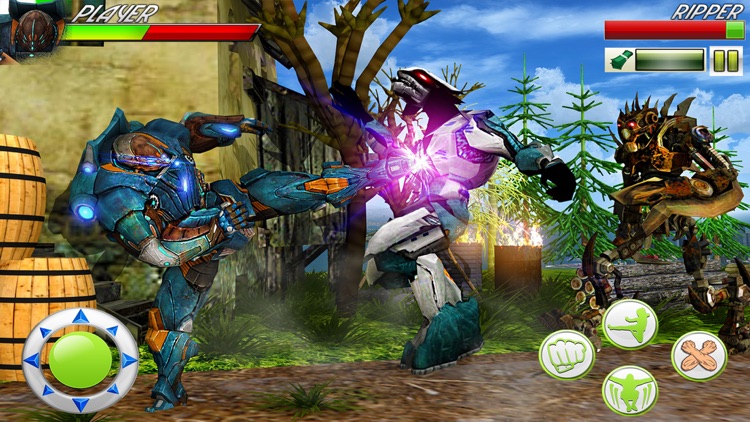Robot Kung Fu