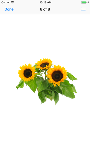 Sunflower Stickers(圖9)-速報App