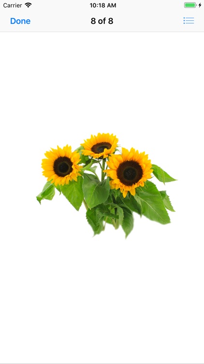 Sunflower Stickers screenshot-8