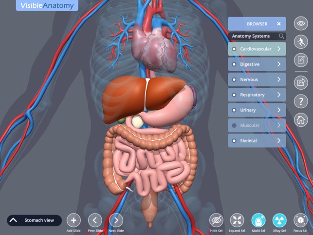 Visible Anatomy(圖2)-速報App