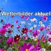 Wetterbilder aktuell