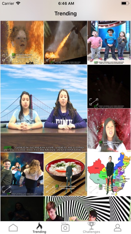 Green Screen Live Video Record screenshot-3