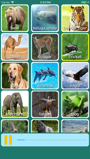 AnimalSounds Âm Thanh Động Vật(圖2)-速報App