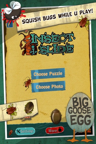 InsectiSlide Bugs Photo Tile Puzzle screenshot 2