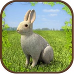 Extreme Rabbit 3D Simulator