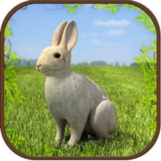 Activities of Extreme Rabbit 3D Simulator