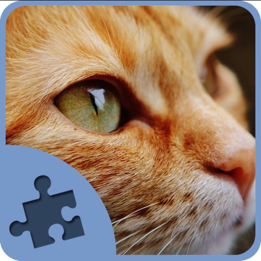 Cat and Kitten Jigsaw Puzzles Icon