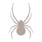 From the creators of the National Audubon Society Field Guides and the National Wildlife Federation Guides comes an all-new, beautiful and intuitive guide to 43 North American spiders, with 50 photographs, dynamic search functions, and more