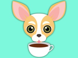 Chihuahuas have more color combos than any other puppy dog