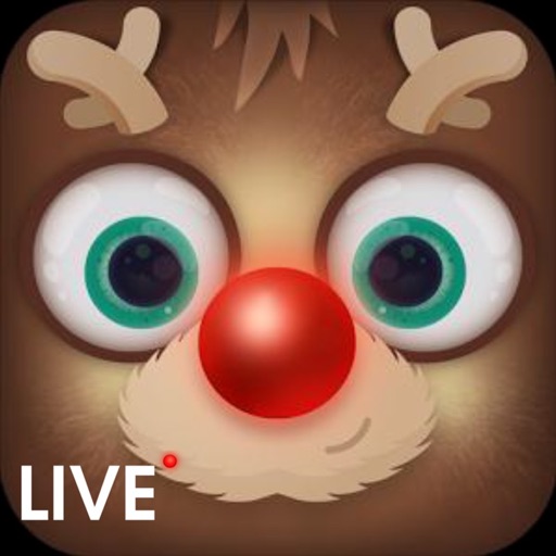 Reindeer Live Cam