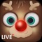 Watch Reindeer Live in the North Pole