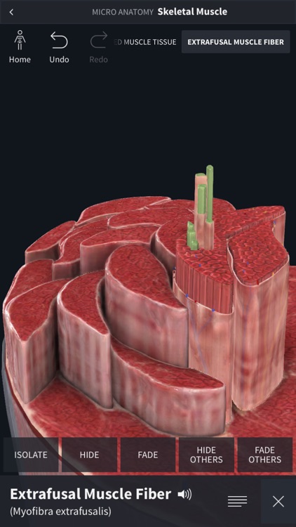 Complete Anatomy 2019: Mobile