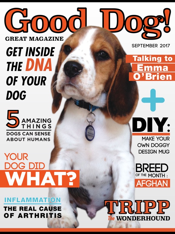 Good Dog (Magazine) screenshot 6
