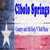 Cibolo Springs