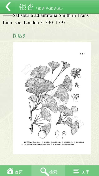 中国植物志专业版