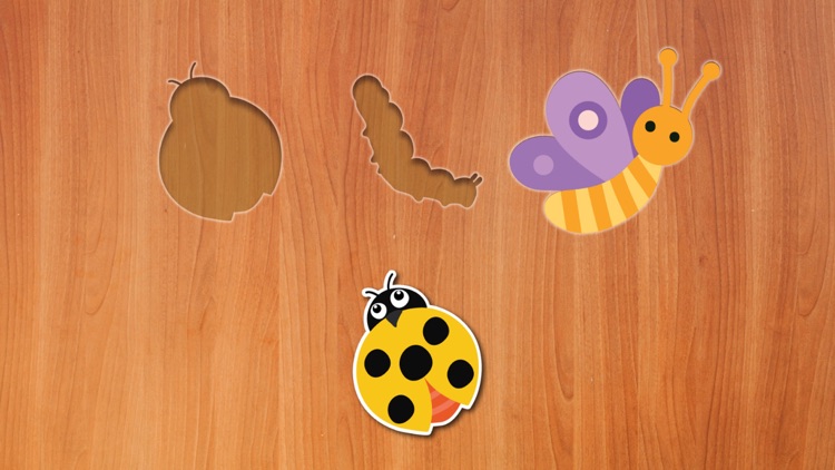 Fun Insect Shape Blocks Puzzle screenshot-6