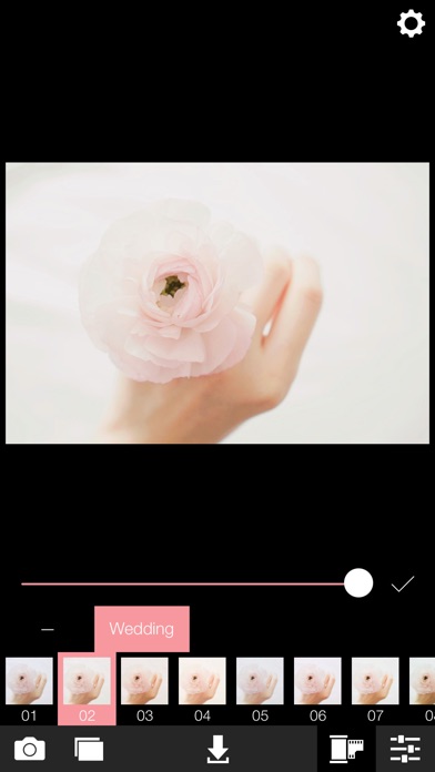 Analog Wedding screenshot1