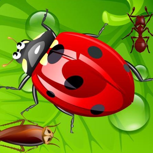 Bugs and Ants Smasher iOS App