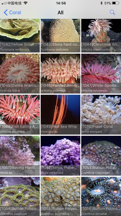 Coral Reefs Bible