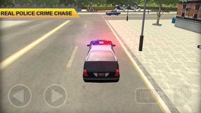 Police Car: Chase Driving screenshot 3