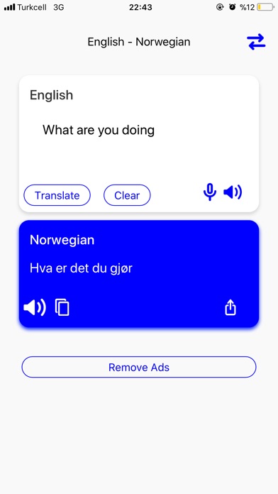 Norwegian - English Translator screenshot 4