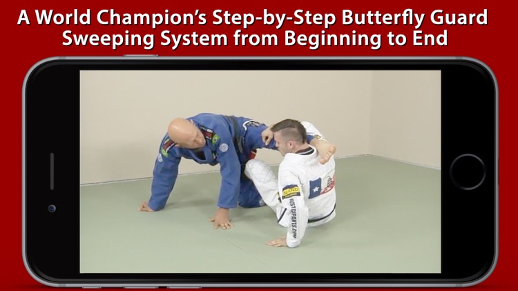 Non-Stop Butterfly Guard