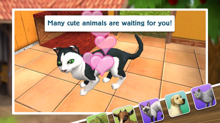 PetWorld: Animal Shelter screenshot-4