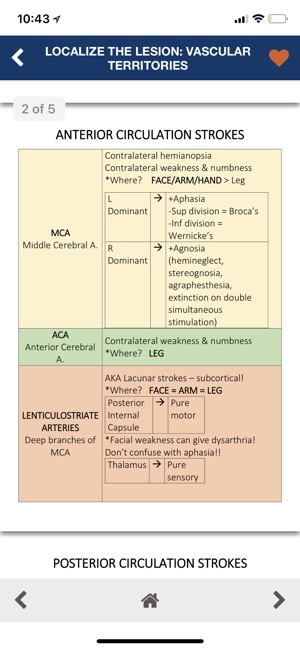 Neurology Pocketbook(圖2)-速報App