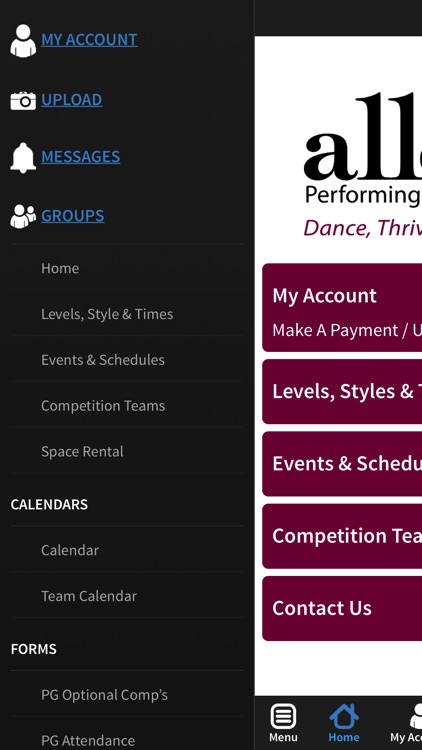 Allegro Performing Arts screenshot-3