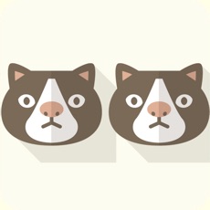 Activities of Animal Twins Puzzle