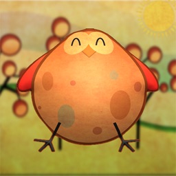 Chubby Birdie