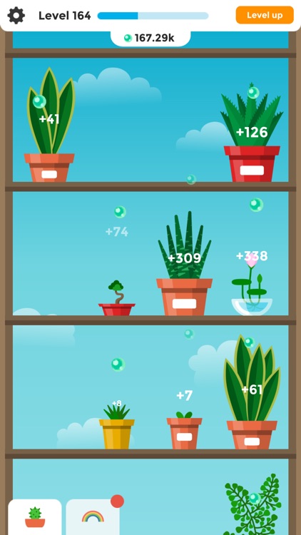 Terrarium ∙