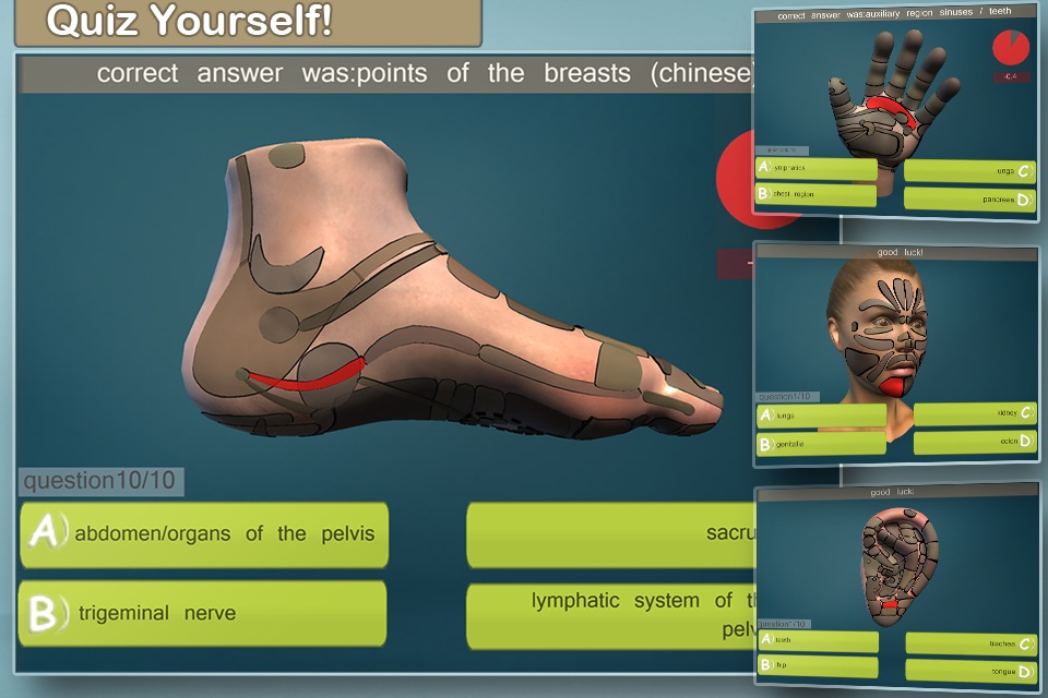 Total Reflexology-3D screenshot 3