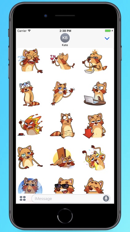 Cool Mr.Raccoon Stickers