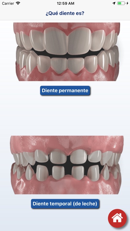 Dental-Safe