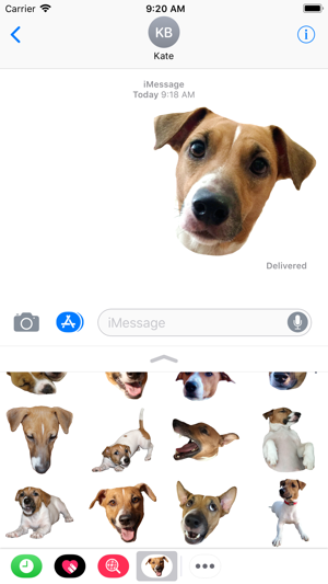 JackRusselMoji(圖1)-速報App