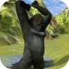 King Jungle Gorilla 3D