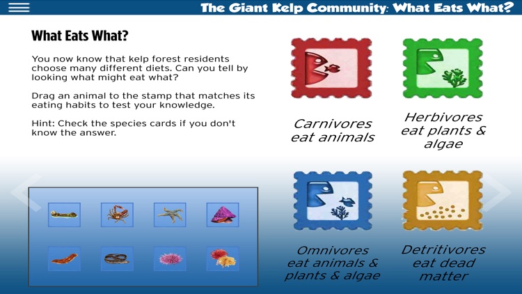 The Kelp Forest ebook screenshot-6