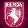 HSV 2.0