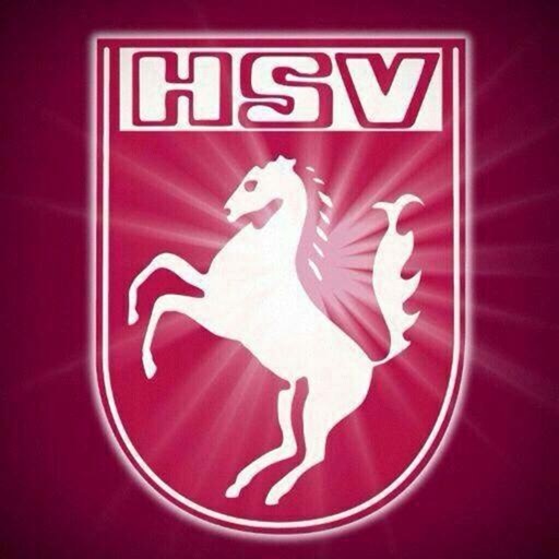 HSV 2.0 icon