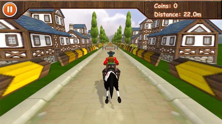 Riding & Jumping Derby Horse