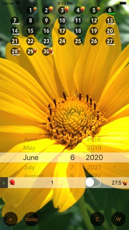 Only For Women - Calendar W screenshot-0