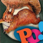 PopOut The Tale of Squirrel Nutkin - Potter