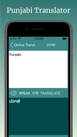 English to Punjabi Translator(圖4)-速報App