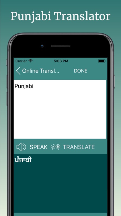 English to Punjabi Translator screenshot-3