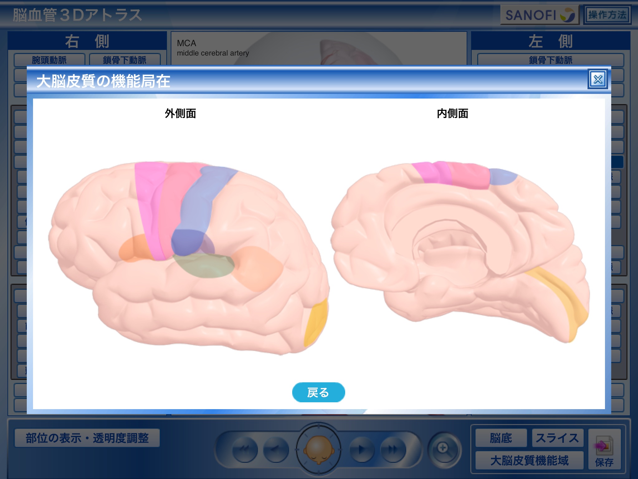 脳血管3Dアトラス　 screenshot 3