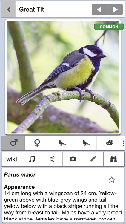 Birds of Britain Pro